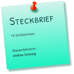 Steckbrief 15 SchülerInnen   Klassenlehrerin: Andrea Grünzig